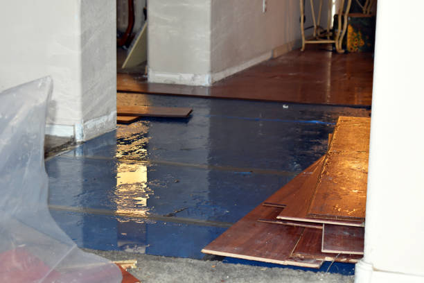 Professional Water Damage Restoration technician working in Minocqua, WI